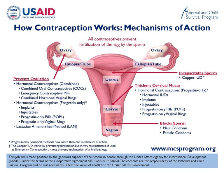 research work on contraceptive